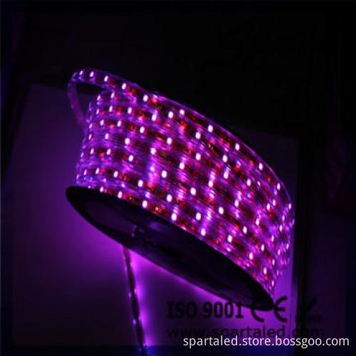 AC220V SMD5050 60leds/m led strip
